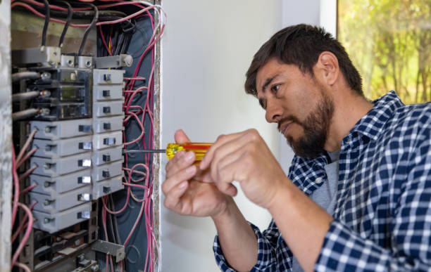 Best Home Electrical Repair  in Carpendale, WV